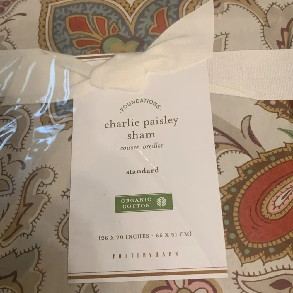 NEW Pottery Barn Charlie Organic Paisley Bedding Set